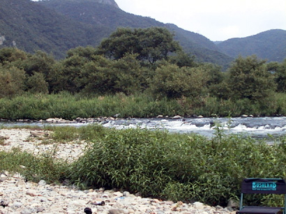Original image