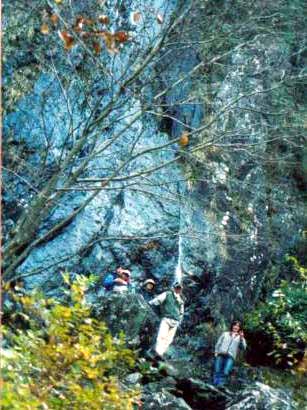 Original image