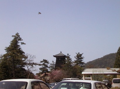 Original image