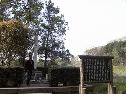 Original image