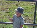 DSC00171