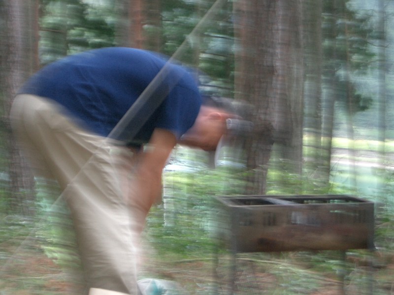 Original image