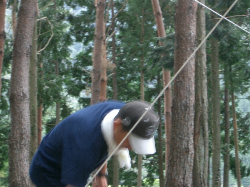 Original image