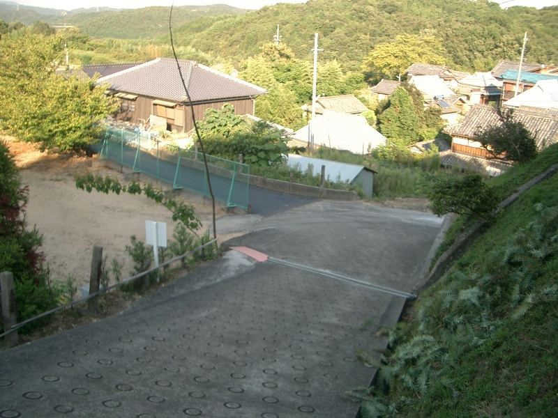 Original image