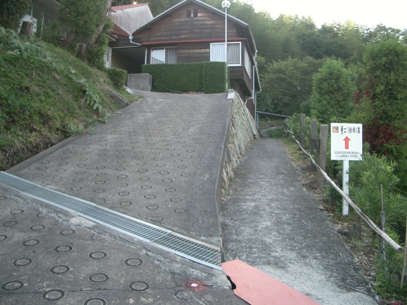 Original image