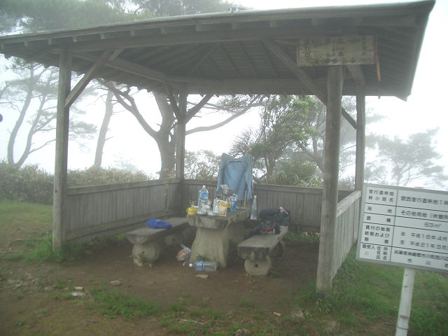 Original image