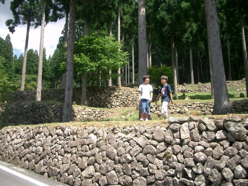 Original image