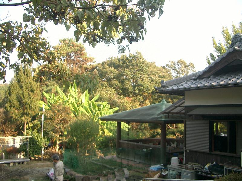 Original image