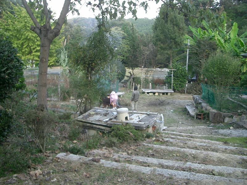 Original image