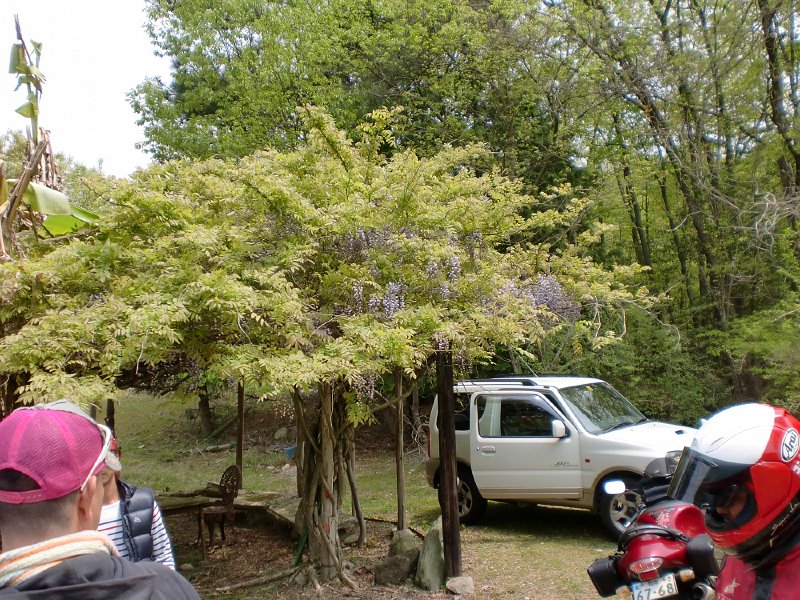 Original image