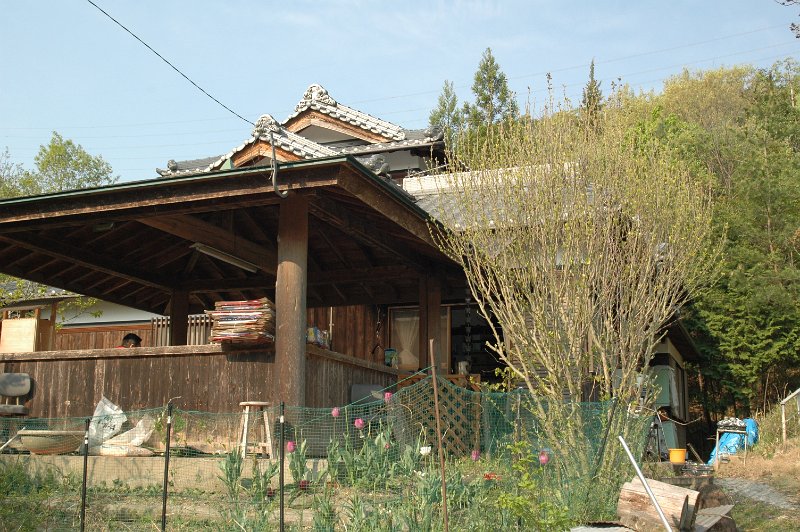 Original image