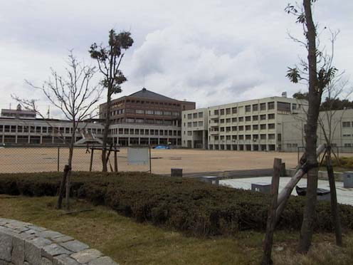 Original image
