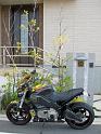 IMG_1096_edited