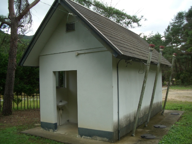 Original image