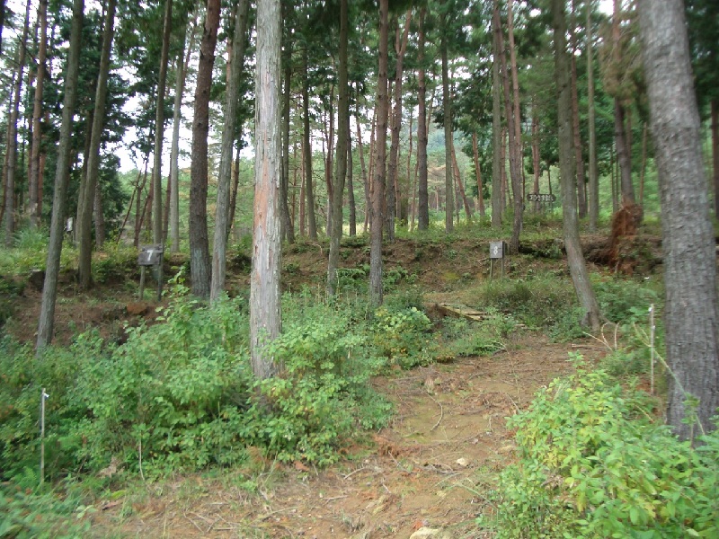 Original image