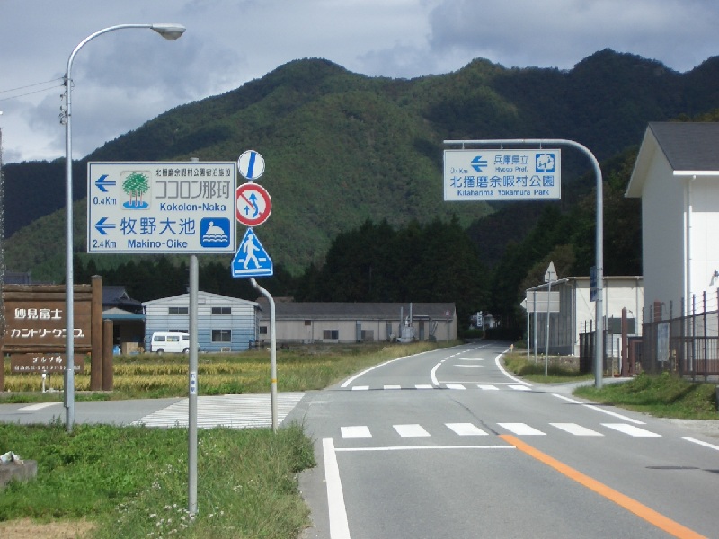 Original image